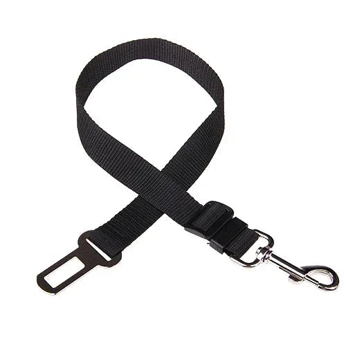 Ceinture de Sécurité Voiture pour Chien
