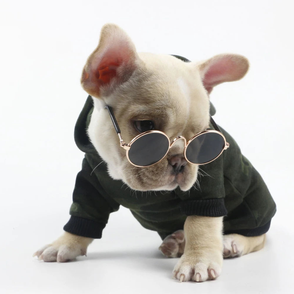 Lunettes Rétro Rondes pour Chiens et Chats Style Hippie
