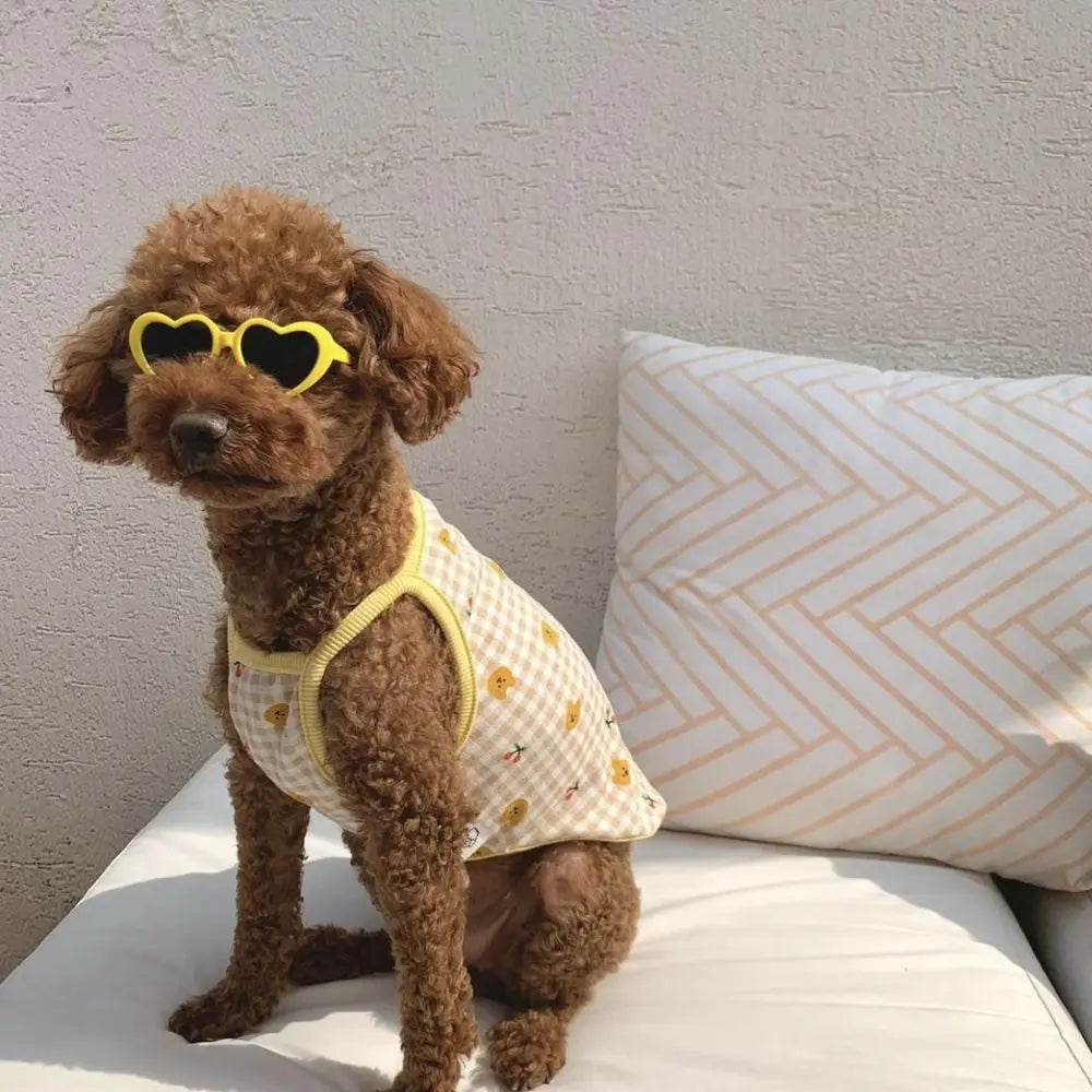 Lunettes en Forme de Cœur pour Chats et Petits Chiens