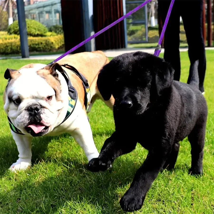 Rallonge Double Anti-Nœud pour Laisse Chien