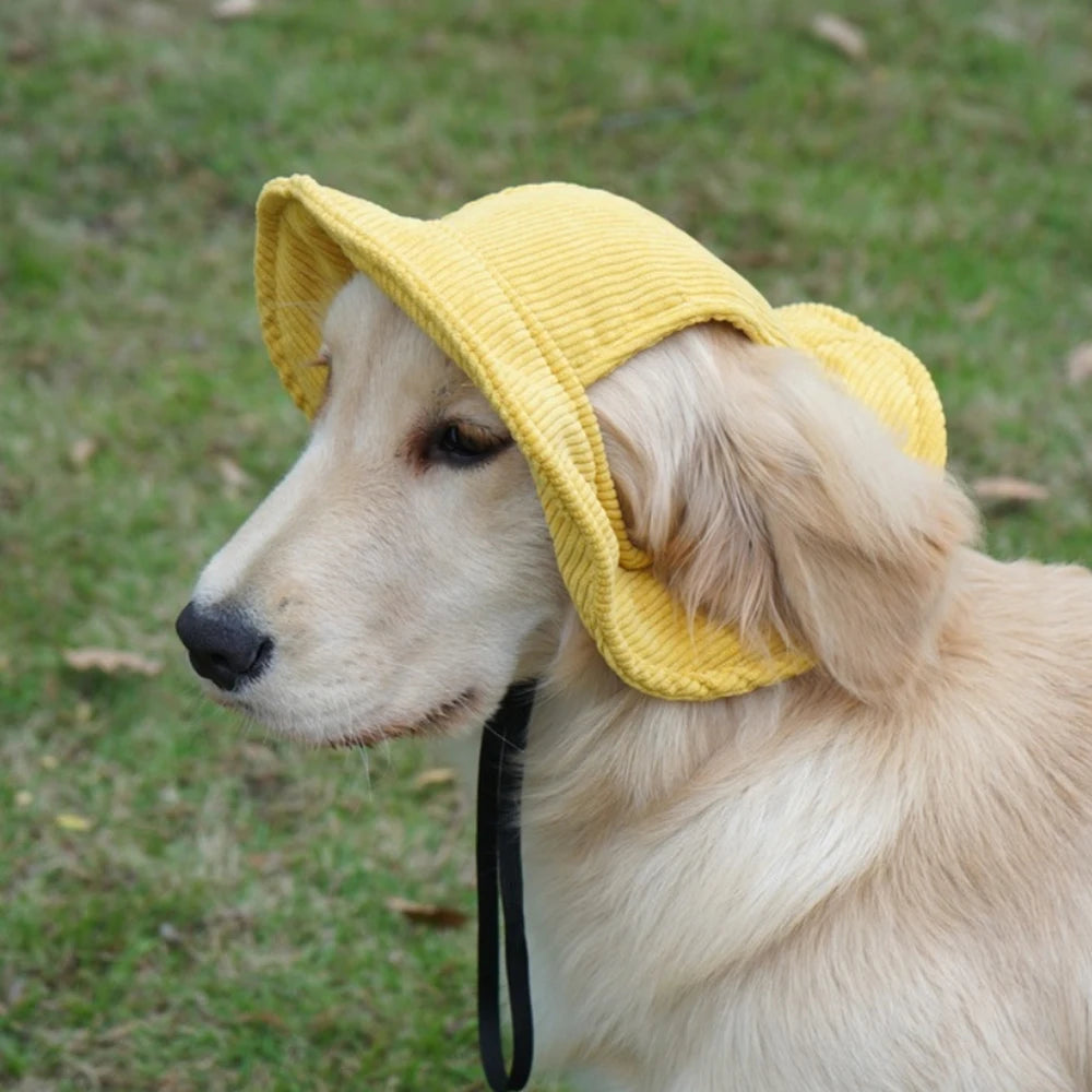 Chapeau Soleil en Velours Côtelé pour Chien avec Trous pour Oreilles