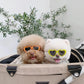 Lunettes en Forme de Cœur pour Chats et Petits Chiens