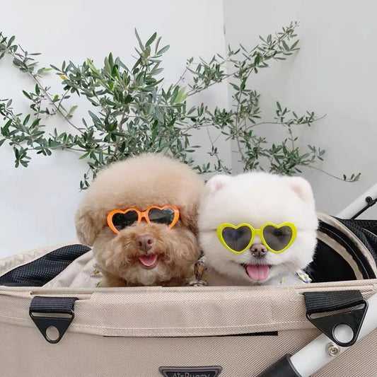 Lunettes en Forme de Cœur pour Chats et Petits Chiens
