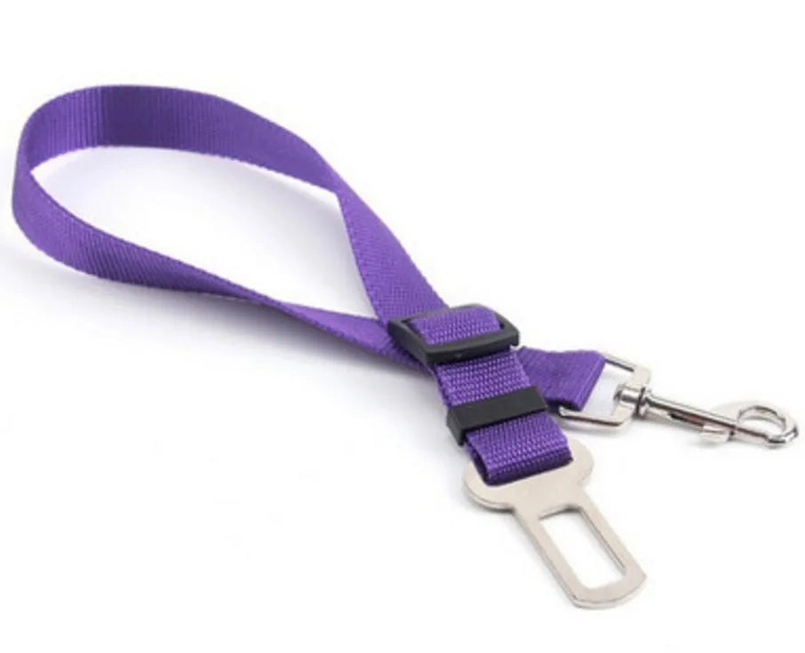 Ceinture de Sécurité Élastique Voiture pour Chien