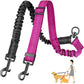 Rallonge Double Réglable & Élastique ColorDuo pour Laisse Chien