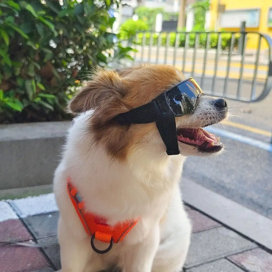 Lunettes de Soleil Ajustables pour Chiens de Petite Taille