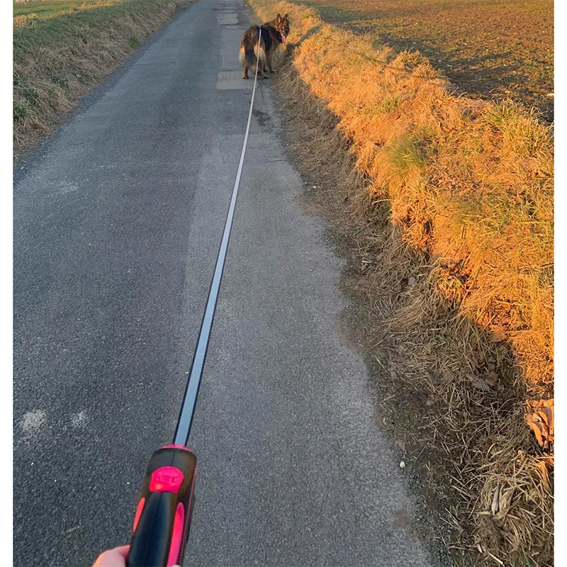 Laisse Enrouleur 5M ou 8M pour Chien