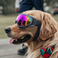 Lunettes de Protection Ajustables pour Chiens - Anti-UV et Anti-Vent