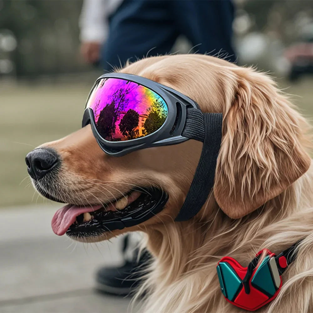 Lunettes de Protection Ajustables pour Chiens - Anti-UV et Anti-Vent