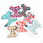 Pack 4-en-1 Harnais et accessoires pour Petit Chien