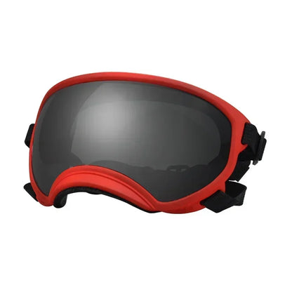 Lunettes de Ski Panoramiques pour Chiens Moyens et Grands