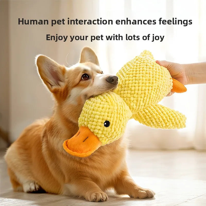 Jouet Canard en Peluche Écologique pour Chiens