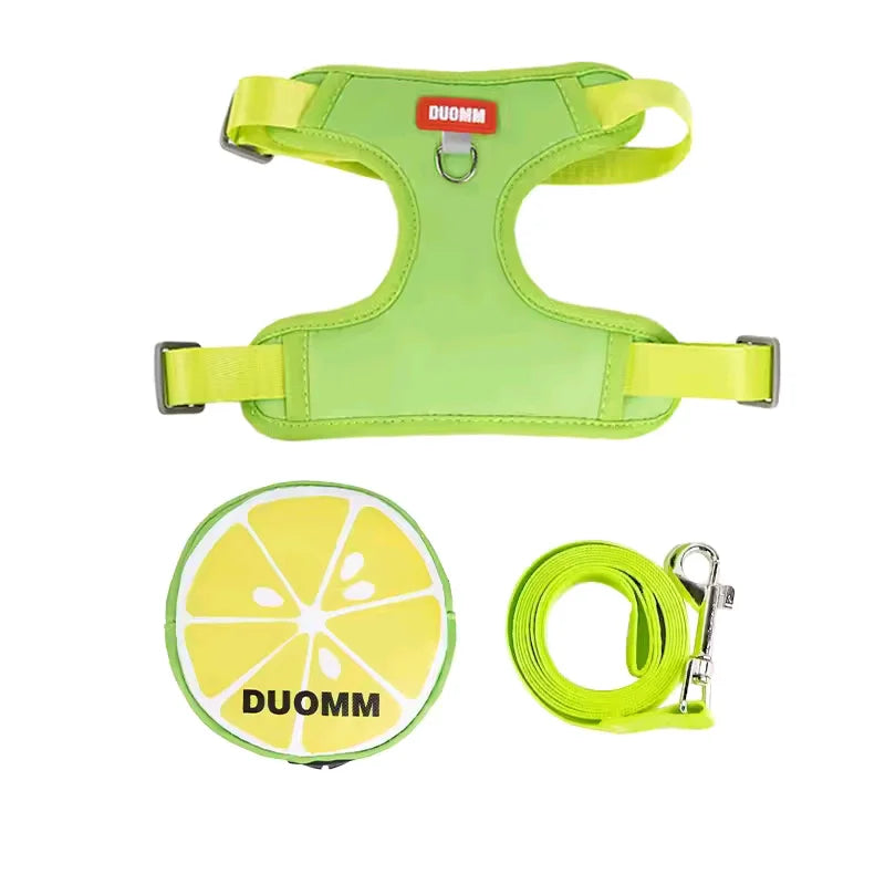 Kit Harnais et Laisse Fruit avec Sac à Dos Amovible et Distributeur de Sacs