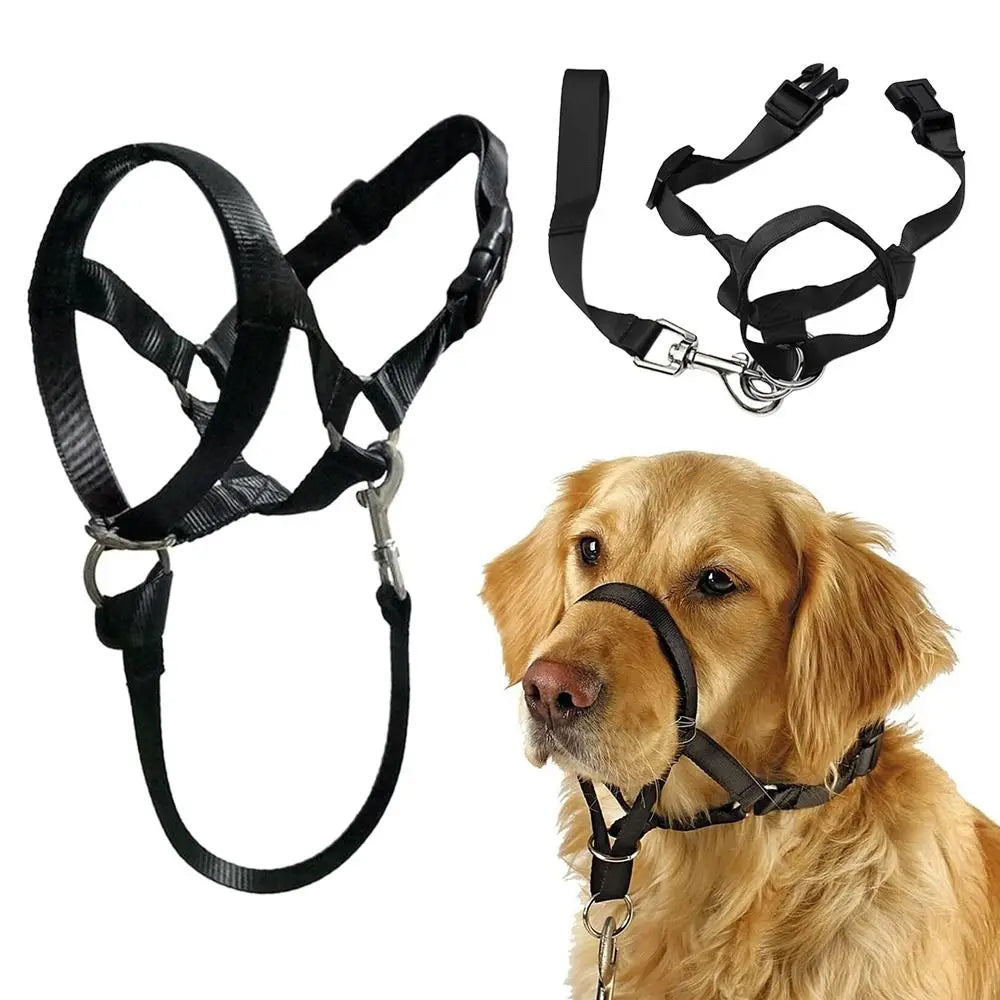 Harnais d'entraînement anti-traction pour Chien