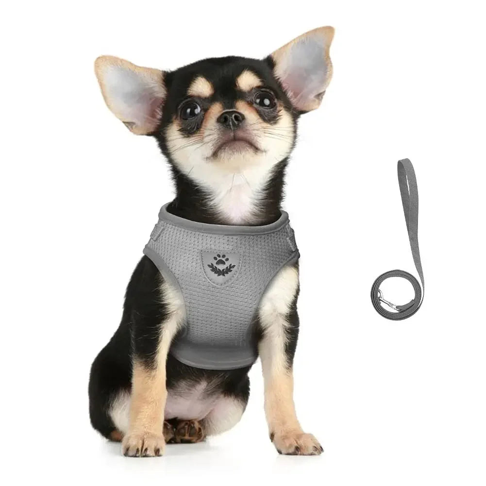 Harnais Réglable en Maille Respirante avec Laisse pour Chats et Petits Chiens