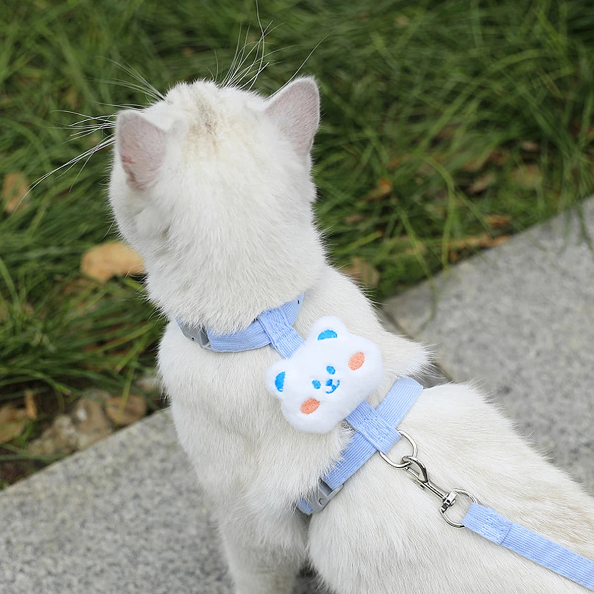 Harnais et Laisse Ajustables pour Chat avec Fleur Décorative