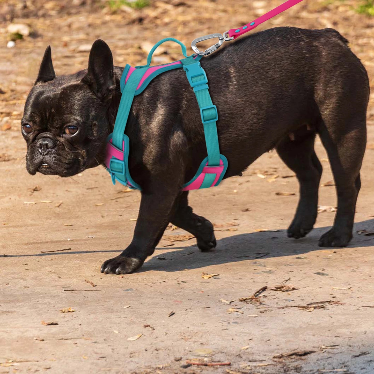 Harnais gilet Anti-traction en H pour Chien