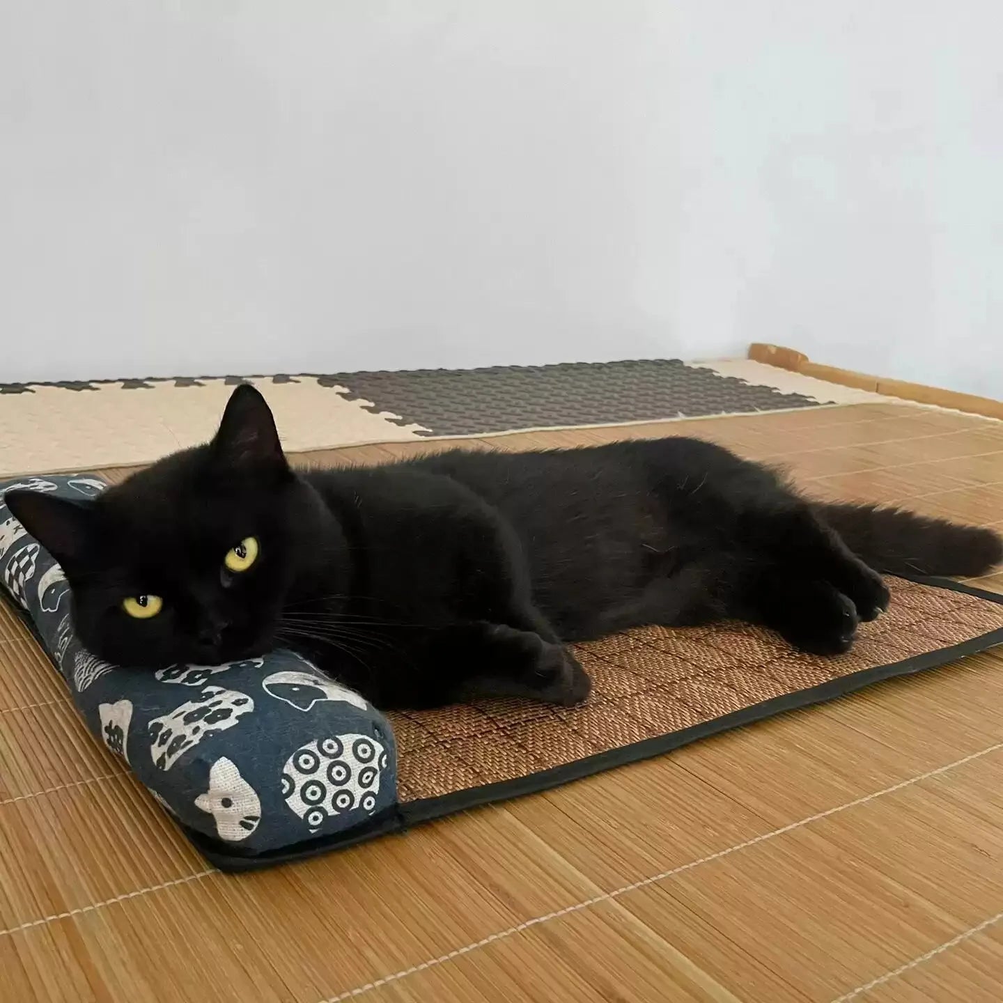 Tapis Rafraîchissant en Rotin pour Animaux