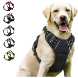 Harnais Renforcé Anti-Traction pour Chien