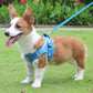 2 en 1 Laisse & Harnais Respirant pour Petit Chien