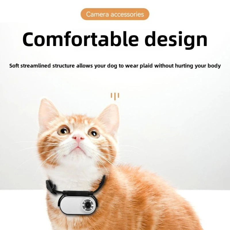 Kit Caméra HD 1080P Sans Fil pour Collier d’Animaux – Écran Intégré