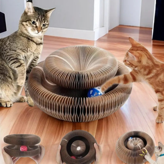 Jouet Griffoir Rond en Carton avec Balle pour Chat