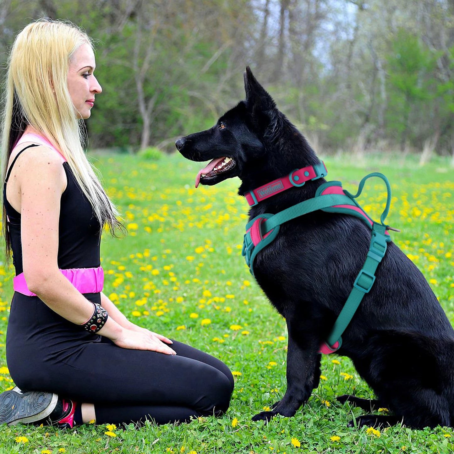 Harnais gilet Anti-traction en H pour Chien
