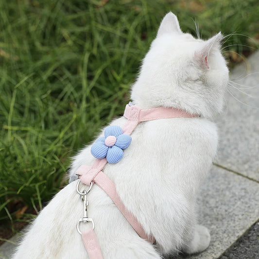 Harnais et Laisse Ajustables pour Chat avec Fleur Décorative