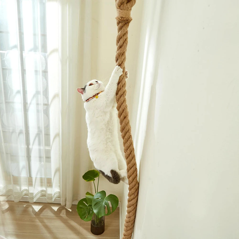 Corde à Grimper en Sisal pour Chats d’Intérieur