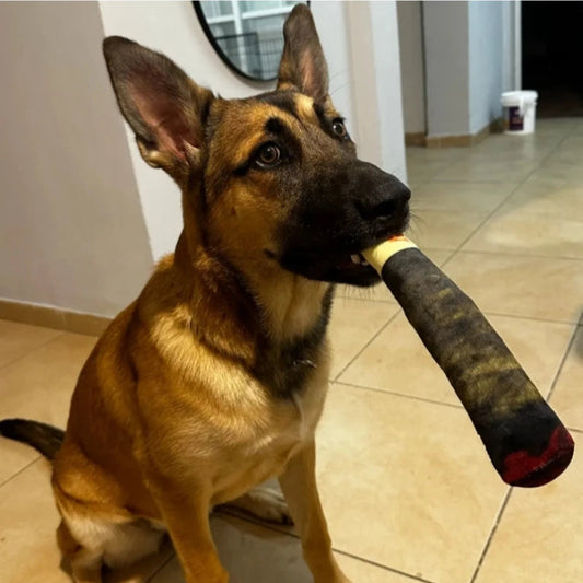 Jouet Cigare Sonore en Peluche pour Chiens