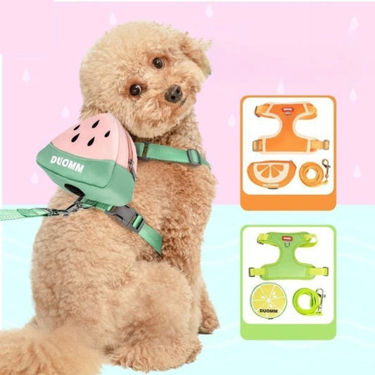 Kit Harnais et Laisse Fruit avec Sac à Dos Amovible et Distributeur de Sacs