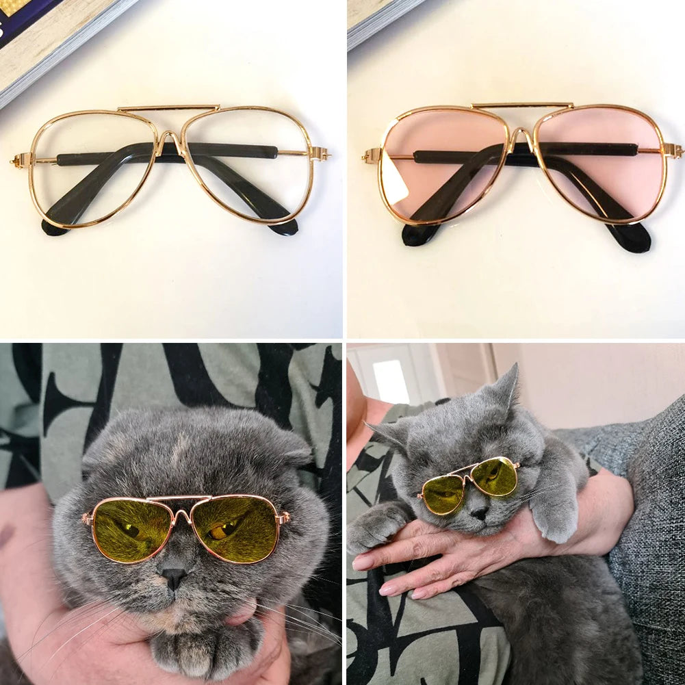 Lunettes Aviateur Colorées pour Chats