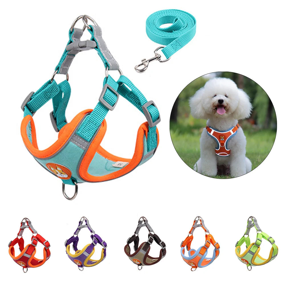 2 en 1 Harnais & Laisse Réfléchissant Anti-traction pour chien
