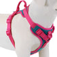 Harnais gilet Anti-traction en H pour Chien