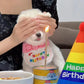 Set Anniversaire Chien & Chat – Bandana “Happy Birthday” et Chapeau Rose