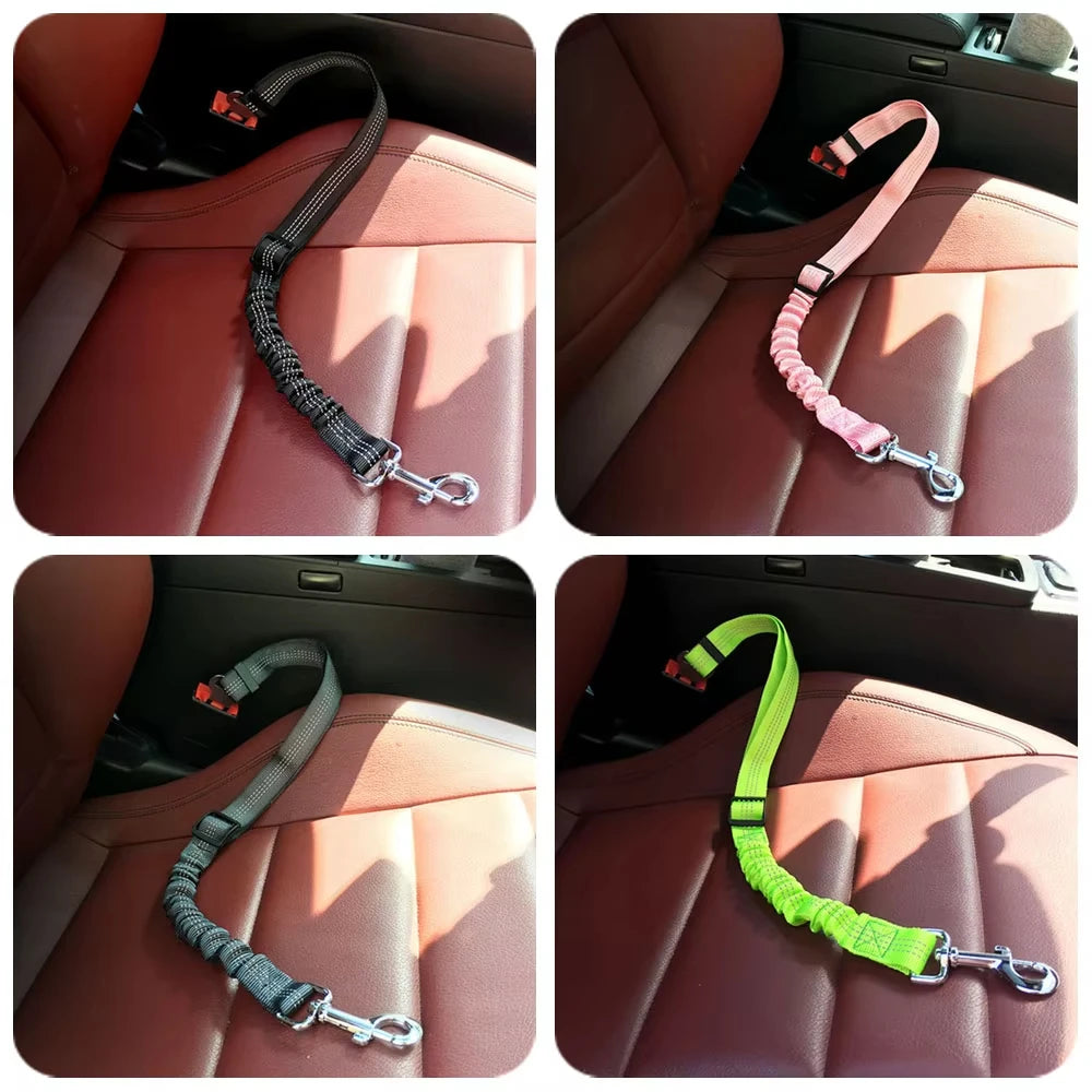 Ceinture de Sécurité Élastique Voiture pour Chien