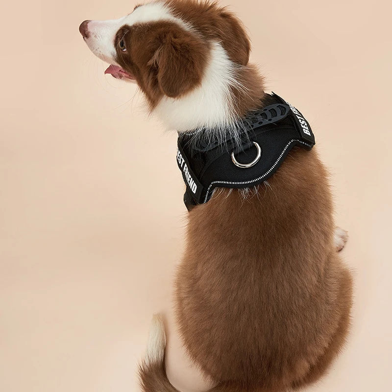 Harnais réfléchissant pour petit chien