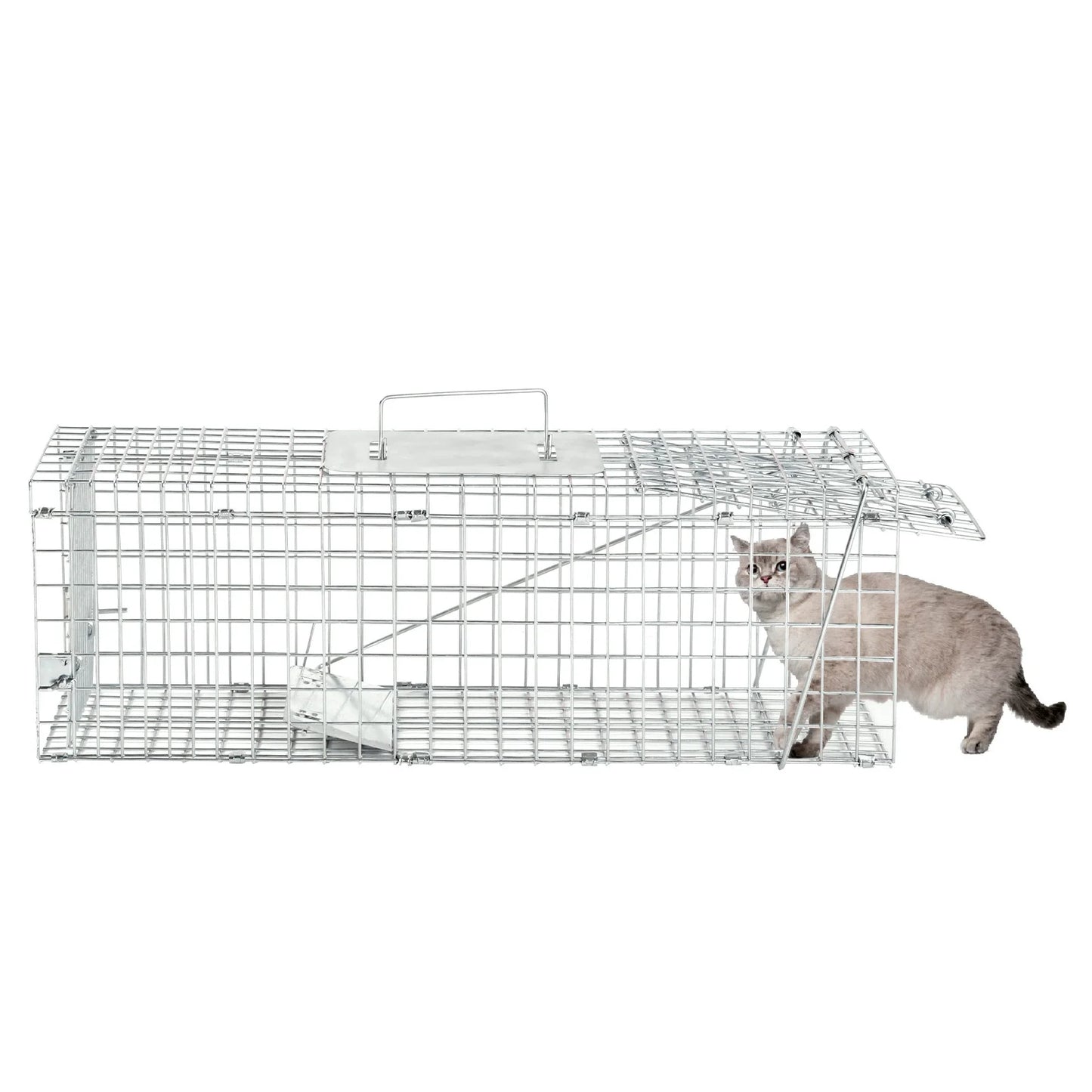 Cage de capture pliable en métal galvanisé pour animaux