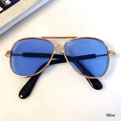 Lunettes Aviateur Colorées pour Chats
