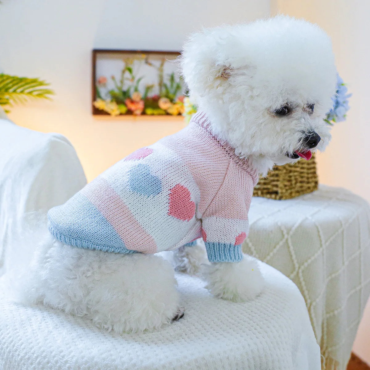 Pull Jacquard Rose et Bleu à Cœurs pour Petit Chien