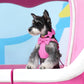 Pack 4-en-1 Harnais Nœud Papillon & accessoires pour Petit Chien