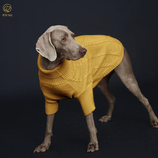 Pull Côtelé à Manches pour Chien – Tricot à Torsades et Fente Harnais