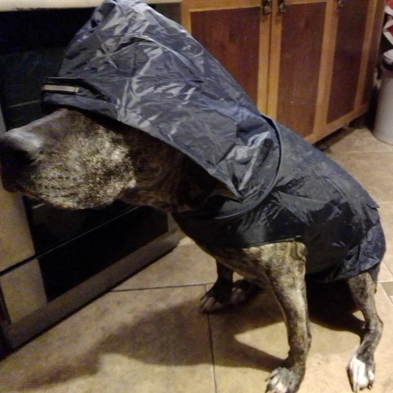 Poncho Imperméable Réfléchissant pour Chien toutes Tailles