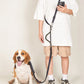 2 en 1 Laisse Multifonctions Double ou Solo Mains libre pour Chien
