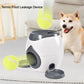 Distributeur de Balles pour Chiens avec Distributeur de friandises