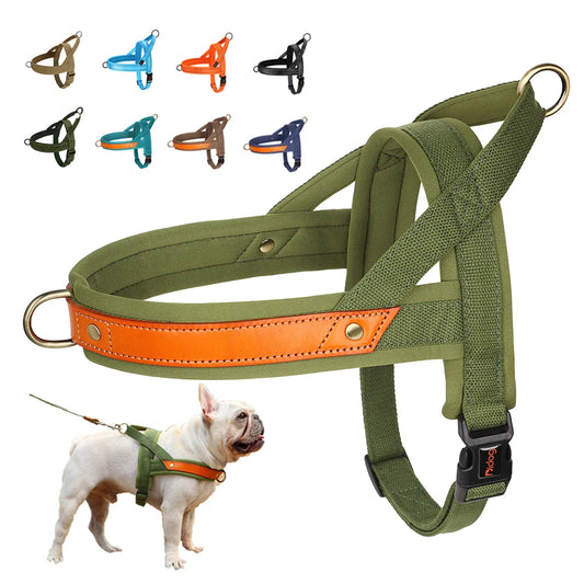 Harnais en Y Confort Anti-traction pour Chien