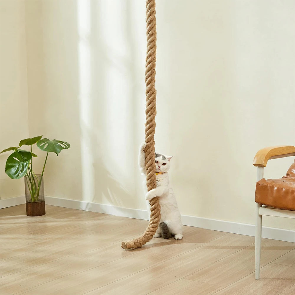 Corde à Grimper en Sisal pour Chats d’Intérieur
