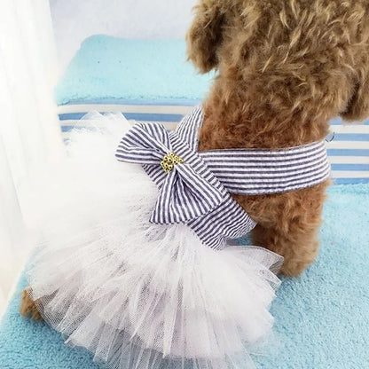 Robe Tutu Noeud Papillon pour Chiennes et Chiots Élégants