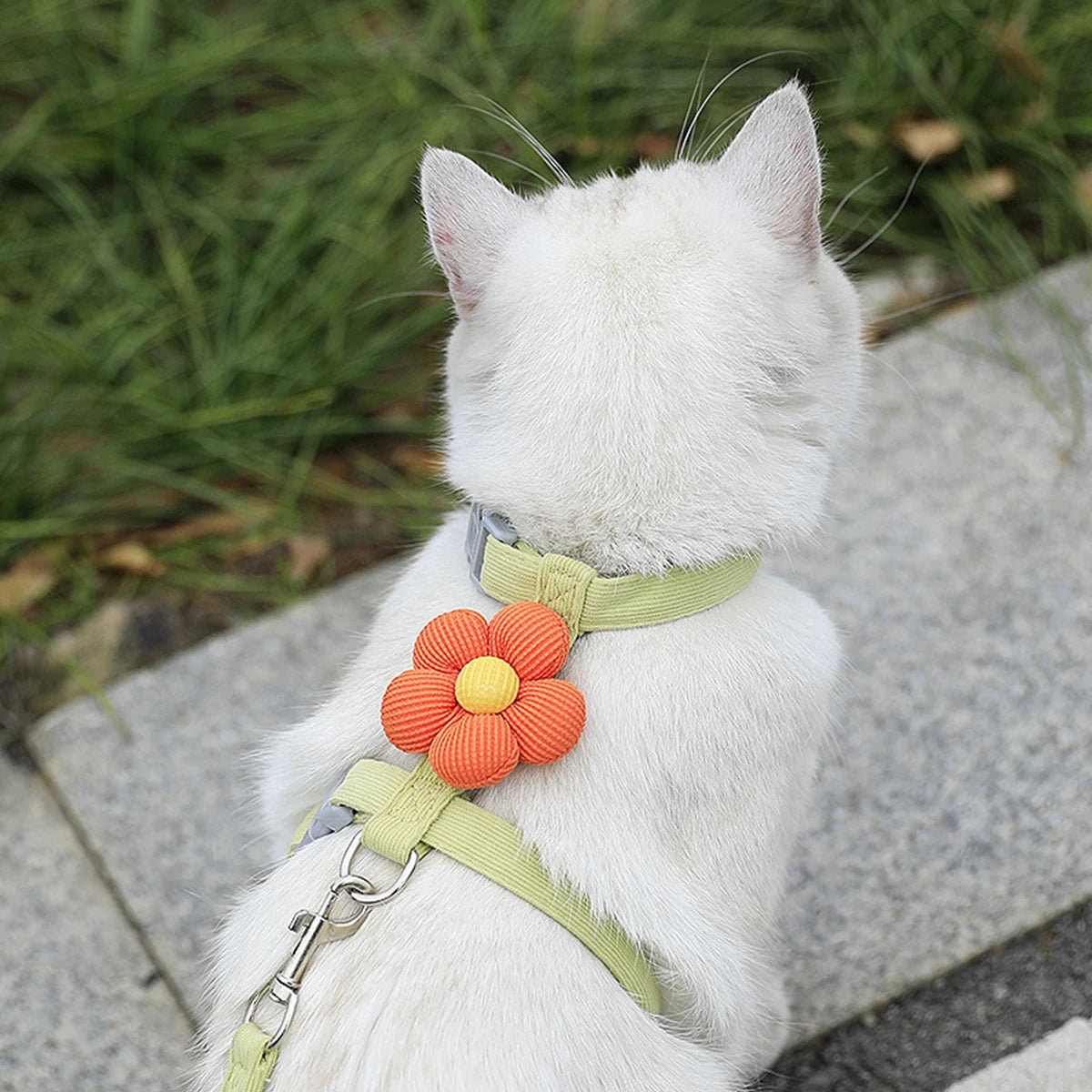 Harnais et Laisse Ajustables pour Chat avec Fleur Décorative