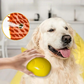 Brosse Vapeur de Toilettage pour Animaux – Nettoyage Doux & Hydratation